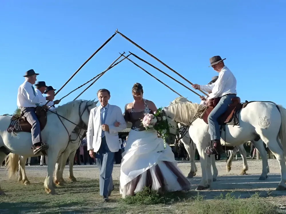 mariage-chevaux