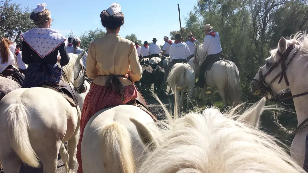 Salle réception baptême à Arles